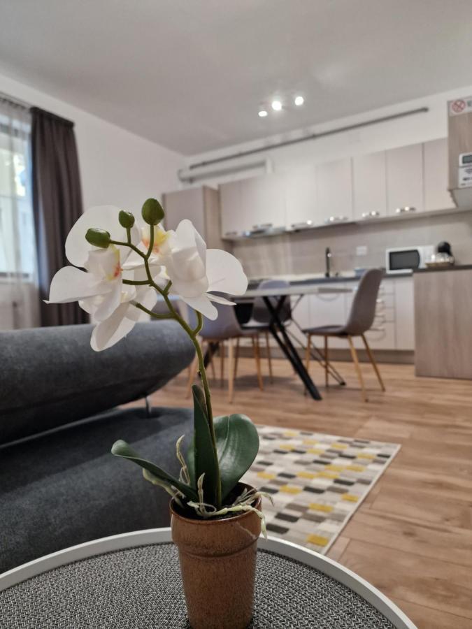 Vic Apartament โดรเบตา-ตูร์นู เซเวริน ภายนอก รูปภาพ