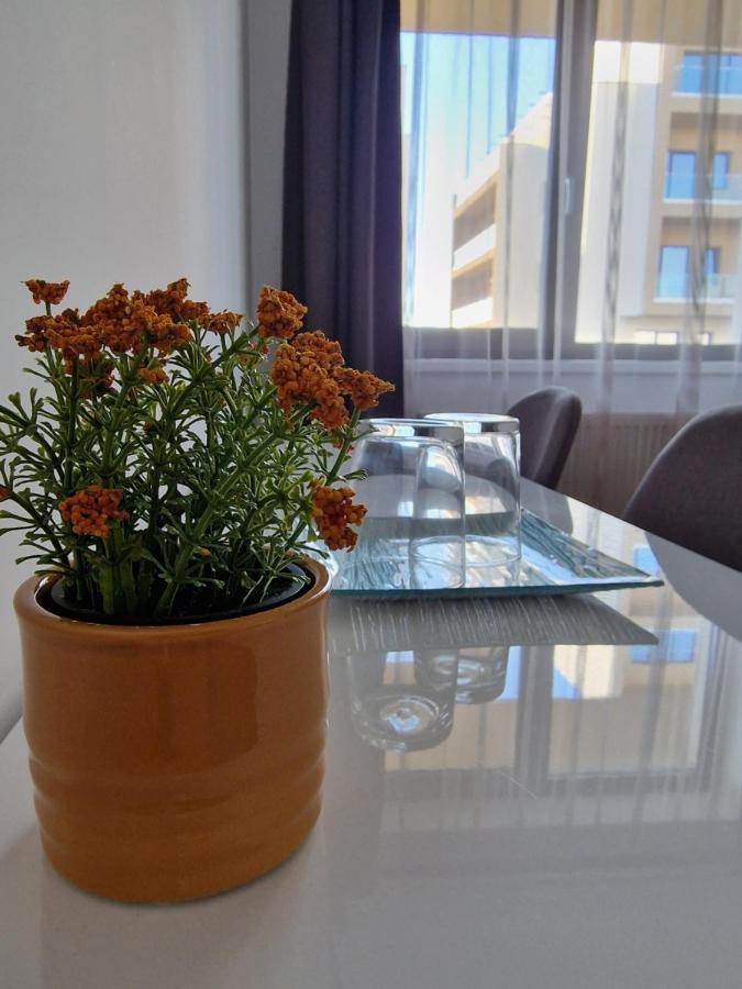 Vic Apartament โดรเบตา-ตูร์นู เซเวริน ภายนอก รูปภาพ
