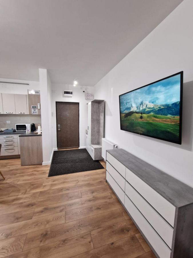 Vic Apartament โดรเบตา-ตูร์นู เซเวริน ภายนอก รูปภาพ